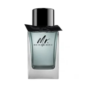 Burberry Mr Burberry Element no-box EDT