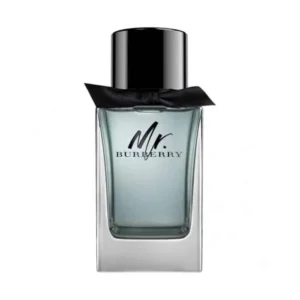 Burberry Mr Burberry Element 150ml no-box EDT